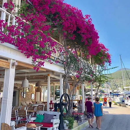 Kathisma Bay - Luxury Villas- Oceanos